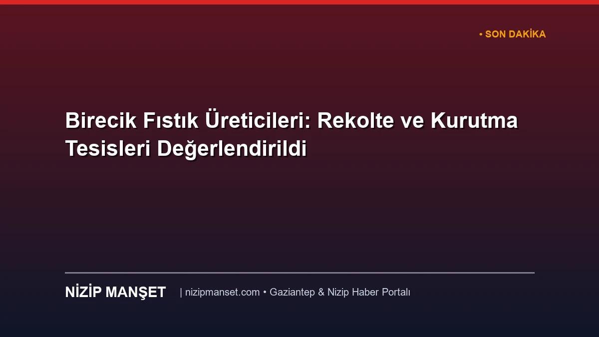 Birecik Fıstık Üreticileri: Rekolte ve Kurutma Tesisleri Değerlendirildi