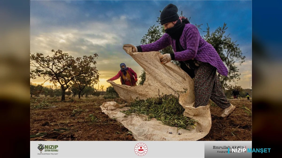 Nizip Zeytin Festivali Fotoğraf Maratonu Şampiyonları