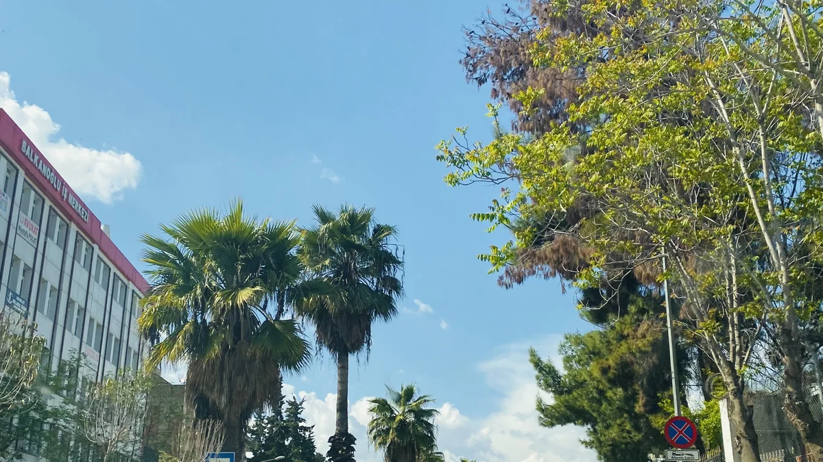 Nizip Ticaret Borsası’nda dış ticaret öğrencilerine uygulamalı eğitim