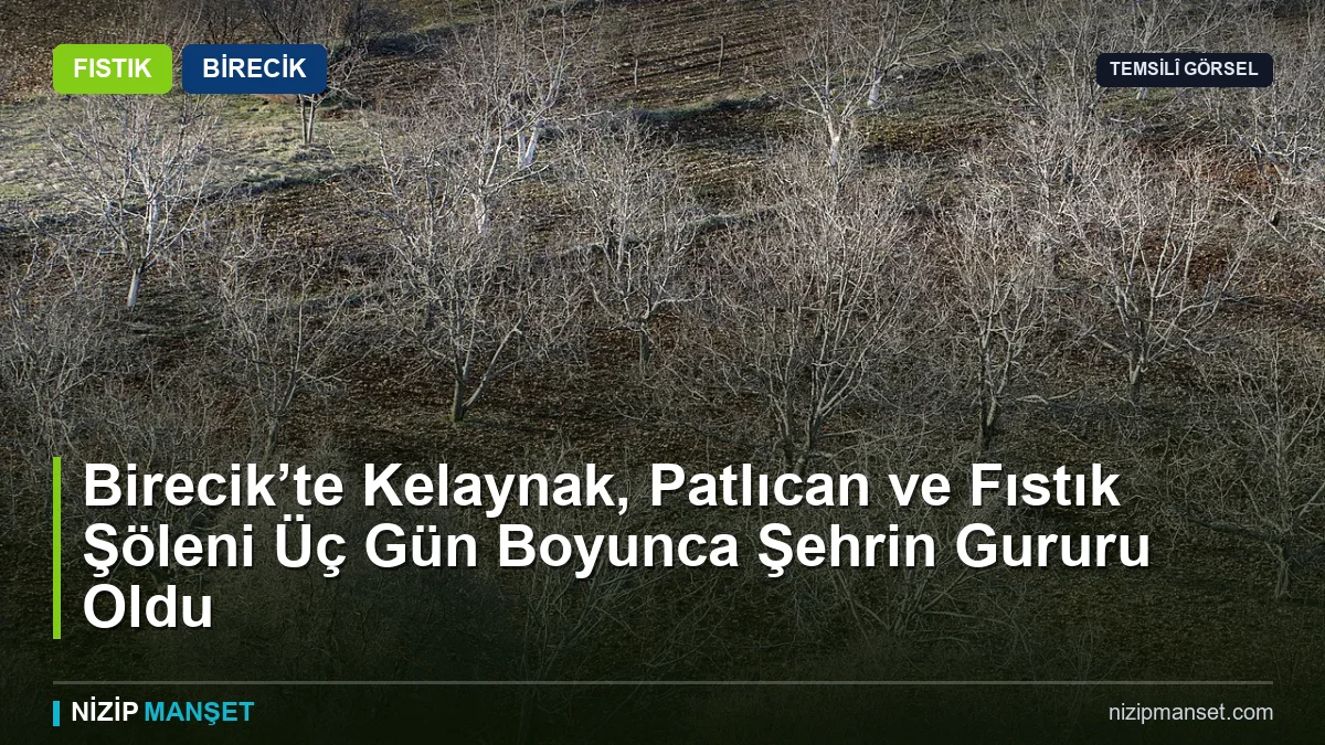 Birecik Kelaynak, Patlıcan ve Fıstık Festivali başladı
