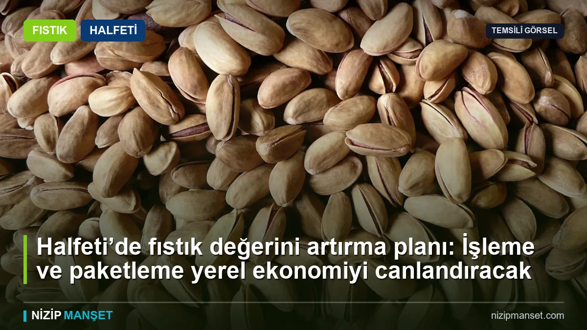 Halfeti fıstığının markalaşması için işleme ve paketleme çağrısı