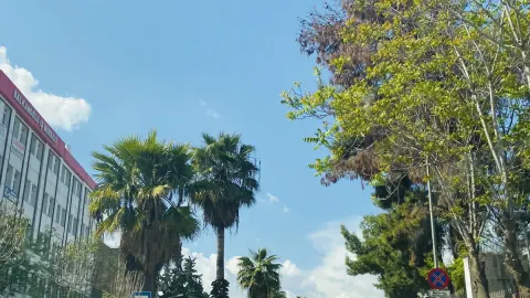Nizip Ticaret Borsası’nda dış ticaret öğrencilerine uygulamalı eğitim