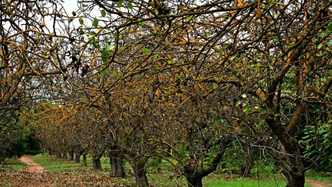 İYİ Parti heyeti Nizip Ticaret Borsası'nda ekonomik‑tarımsal görüşmeler yaptı