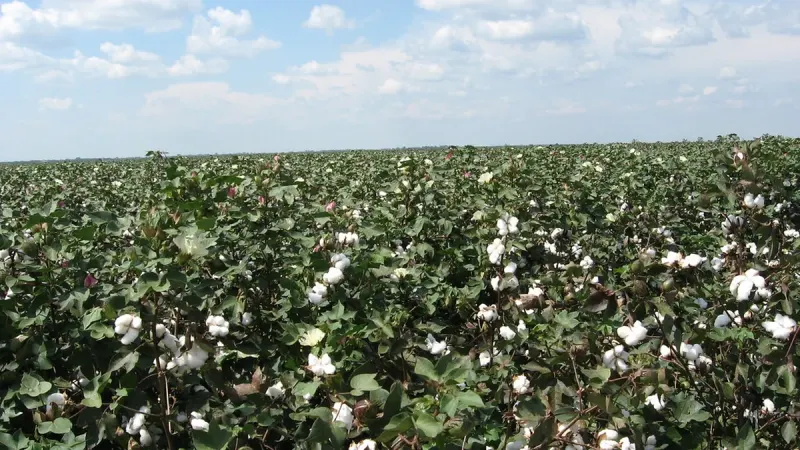 Nizip Ticaret Borsası'na NRT Yönetimi ziyareti: projeler ve iş birliği görüşüldü